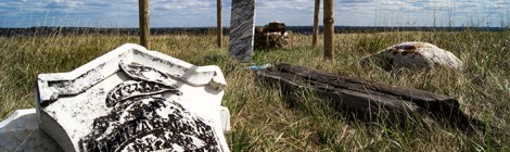 The Forgotten: Elizabeth Mann