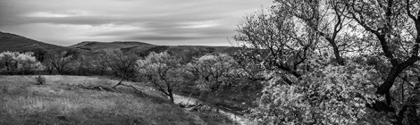 Rediscovering the town of Harmon, N.D.