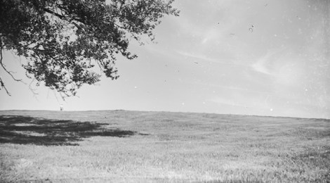Heartbeat of Twin Cities: Chief Looking's Village