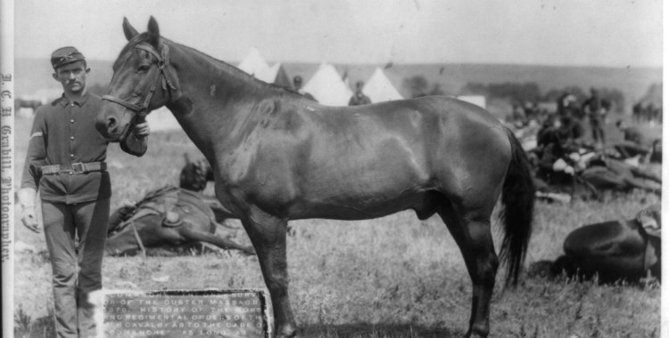 Lone Survivor Myth of the Little Bighorn